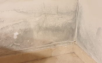 ContraHUMEDAD | Empresa Especializada en Humedades en Madrid