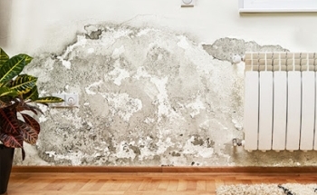 NOVANOR - Empresa de Humedades