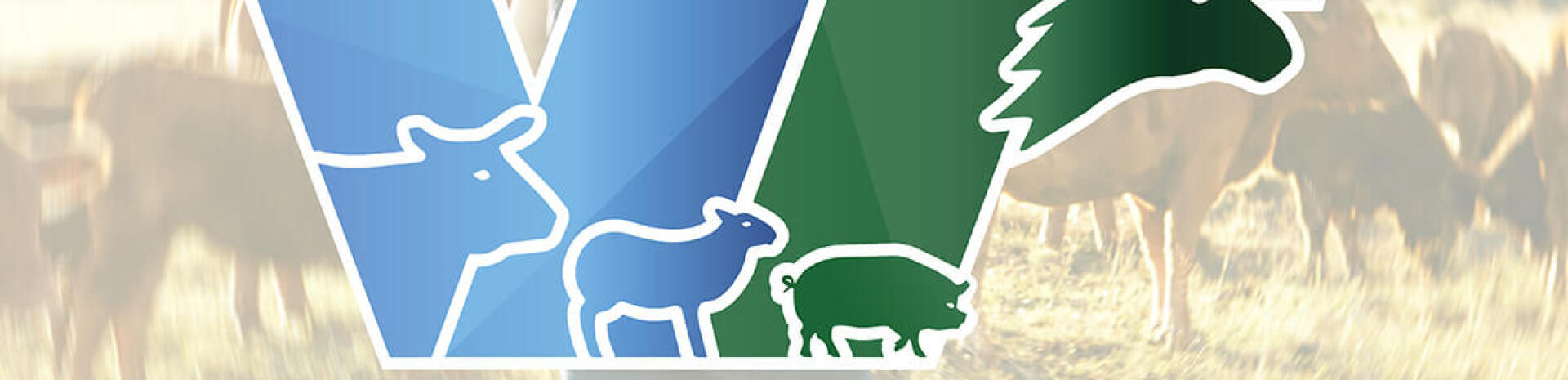 VETERINARIOS FREGENAL, S.L.