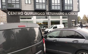 Centro Quirurgico Veterinario