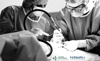 Hospital Veterinario Atlántico (4 de Octubre) | MiVet