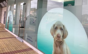 Centro Veterinario Lejarza