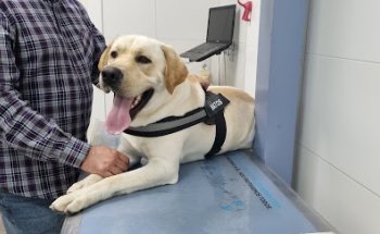 Clínica Veterinaria Colón