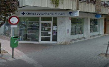 Clínica Veterinaria Minaya