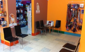 Clínica Veterinaria Más que Mascotas