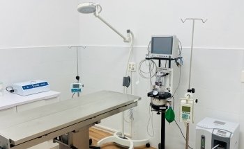AliVet Clínica Veterinaria (Veterinario Urgencias Alicante 24h)