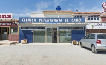 Clínica Veterinaria El Cabo - Hospital veterinario urgencias 24h Alicante.