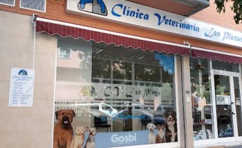 Clinica Veterinaria Las Plazas