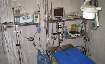 Clínica Veterinaria Mares S.L.