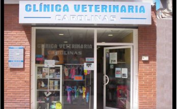 Veterinarios Alicante Urgencias 639 667 646