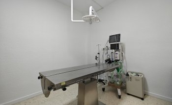 Clínica Veterinaria Benacantil