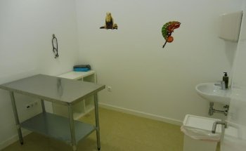 Exopet Clínica veterinaria