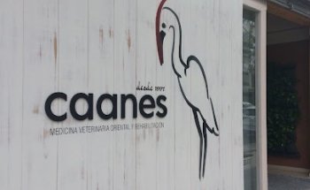 Caanes Medicina Veterinaria Oriental
