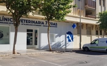 Clínica Veterinaria 7 Vidas