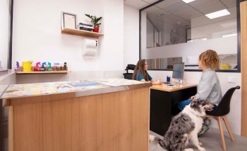 CLINICA VETERINARIA GOLETA