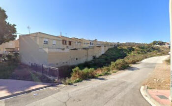 Veterinario a domicilio