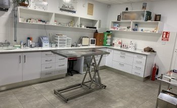 vet Clínica veterinaria