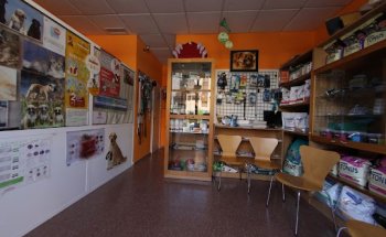 Clínica Veterinaria Cortijo Grande