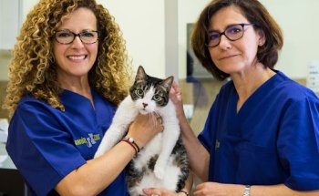 Clínica Veterinaria Bahía Zoo