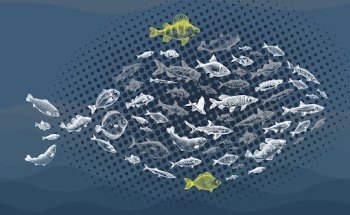 Valdelvira de Servicios Veterinarios