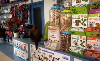 Clínica Veterinaria Algaida