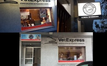 Vet Express
