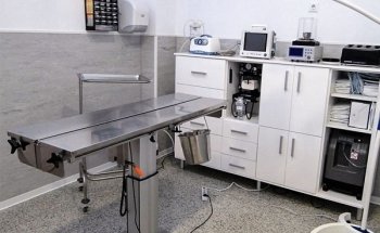 ANIMAX Clínica Veterinaria