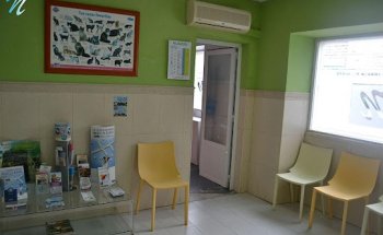 Clínica Veterinaria Dr. Nieto