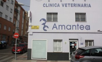 Clínica Veterinaria Amantea