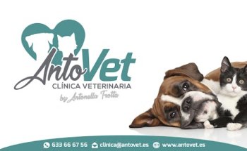 ANTOVET Clínica Veterinaria