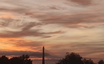 Clínica Veterinaria Parque Guadiana C S