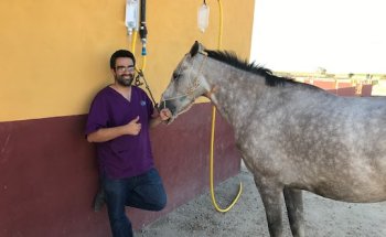 CLINIVEX CENTROS VETERINARIOS