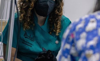 Clínica Veterinaria Marabé