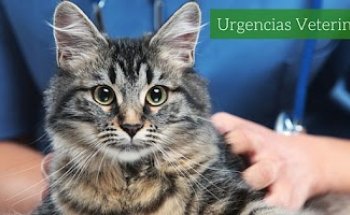 Hospital Veterinario Provença