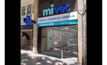 Hospital Veterinario MiVet Animalia