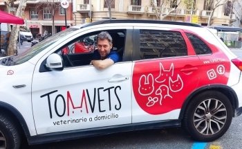 TomVets - Veterinario a Domicilio - Barcelona, Vallès, Maresme, Llobregat, Garraf, Penedès