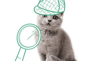 VETERINARIO A DOMICILIO BCN