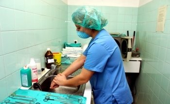 Clínica Veterinaria La Salut - Centro Veterinario Barcelona