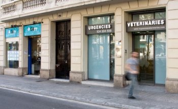 SURvet Hospital Veterinario de Urgencias 24 h