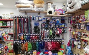 Veterinario a domicilio AnimalSalut