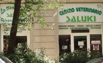 Centro Veterinario Saluki