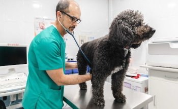 Clínica Veterinaria Taquari