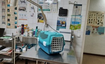 Consulta Veterinària Arte