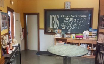 Bris Clínica Veterinaria- Albaitari Klinika
