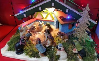 Txurdinaga Albaitaritza