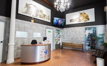 Hospital veterinario Elkano 