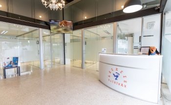 Hospital Veterinario Zumalakarregi 