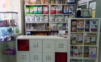 Abereen Klinika Santutxu