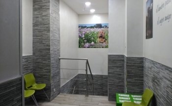 Hospital Veterinario Los Delfines