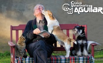 Clínica Veterinaria Aguilar